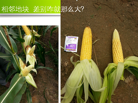 ��ʱѶ���������ס����ߡ�԰����������__���Ź���̻��ۺϼ����籩