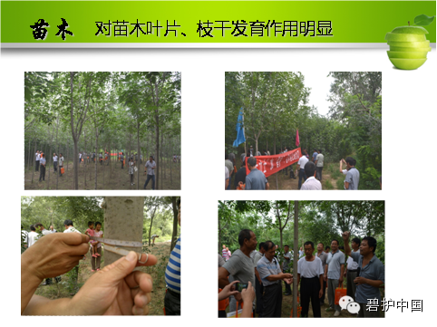 ��ʱѶ���������ס����ߡ�԰����������__���Ź���̻��ۺϼ����籩