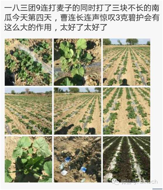 ����20����Ĵ�ϡ���«���Ϲ�����ˡ�