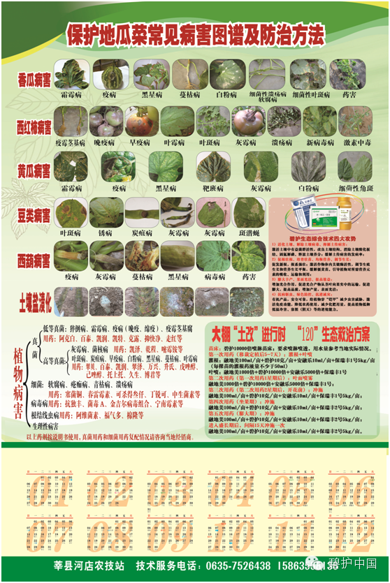 �����������ɽ��ݷ�ء�120����̬�����ɹ�����������1��