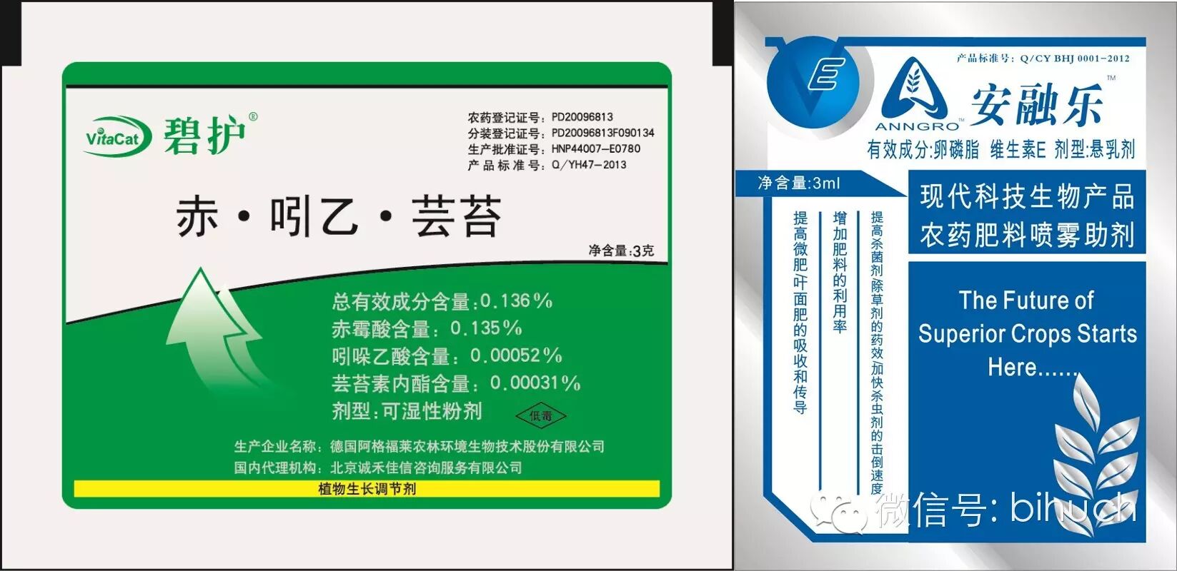 �̻���ʲô������