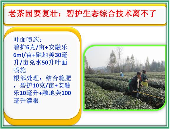 ũʱͨڹЧ԰Ѿʼжˣ