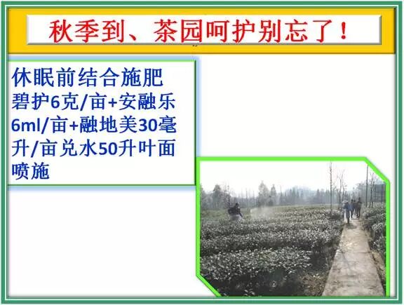 ũʱͨڹЧ԰Ѿʼжˣ