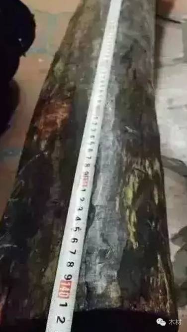 <a href='/cultureDetailed-15065.htm' style='color:#4A9C42;' target='_blank'>小葉紫檀</a>原木價(jià)格
