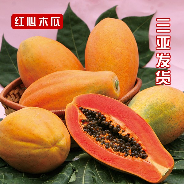 海南木瓜 海南红心木瓜 带啥儿网