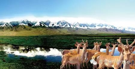 点此在新窗口浏览图片
