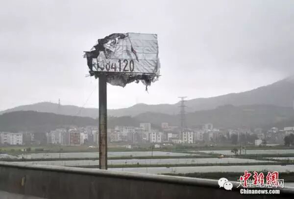9月29日，福建省福清市境内高速公路旁的广告牌被风吹断。据中央气象局台网消息，今年第21号台风“杜鹃”于29日早上8点50分在福建莆田秀屿区登陆，登陆时最大中心风力12级（33米/秒）。