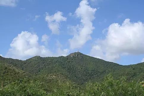 除了夫人专辑,各国老大互赠的5种脑洞级礼物丨涨姿势 - 壹读 - 壹读