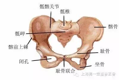 产后耻骨联合分离怎么办 产后行走不便腹股沟疼痛原因是 得一堂