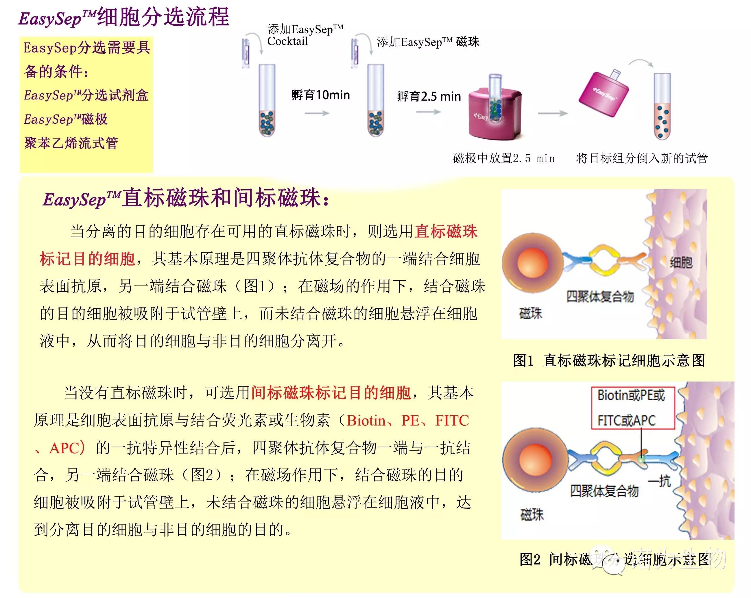 EasySep免疫磁珠细胞分选金准生物专注于干细胞和免疫细胞磁珠分选与培养，是干细胞,免疫学研究的专业化服务平台