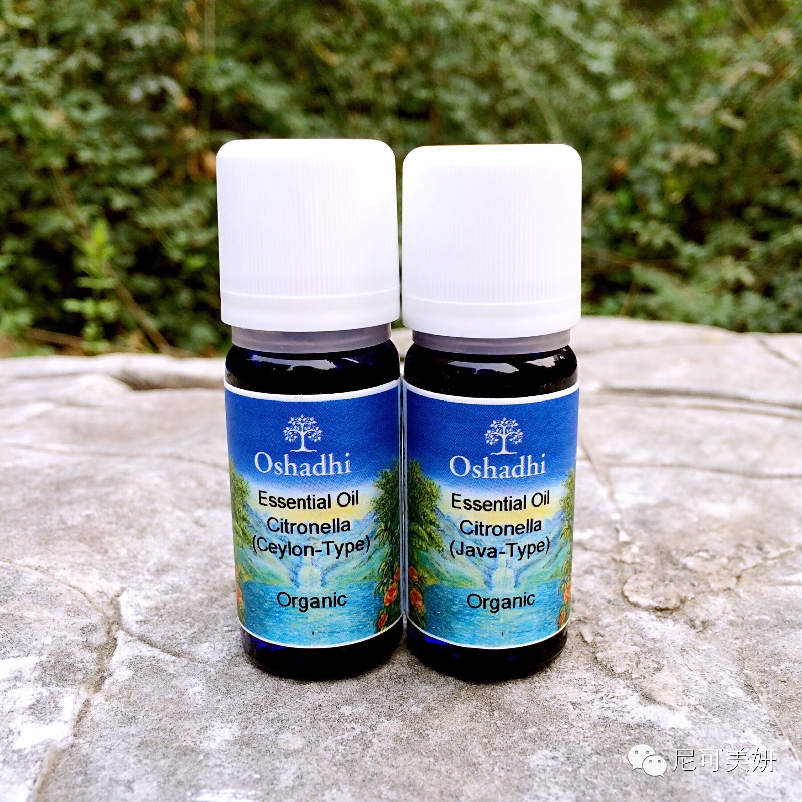 尼可美妍周刊19