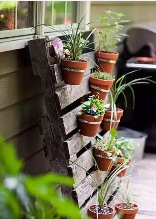 废弃物品不要扔，DIY自己的小花园