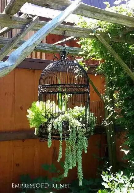 废弃物品不要扔，DIY自己的小花园