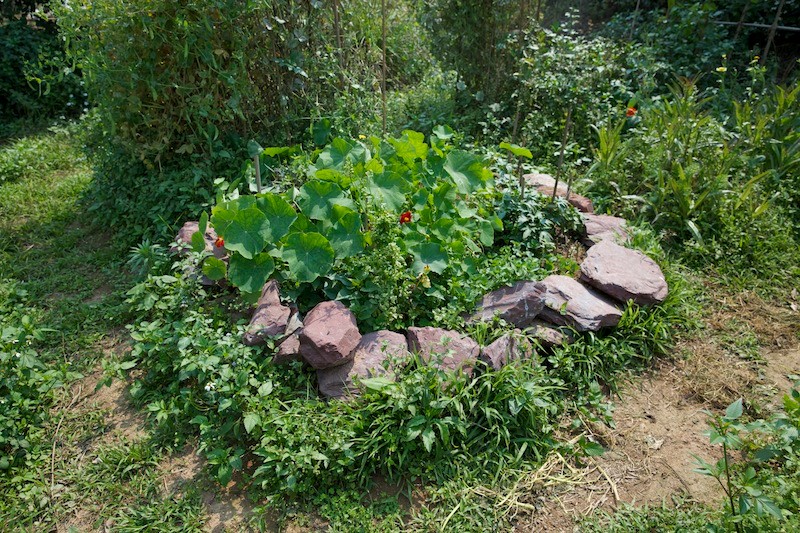 日本前卫建筑巨匠藤本壮介领航，携建筑师叶敏，景观师孙虎，重返原生桃源盛世——广州四海一方