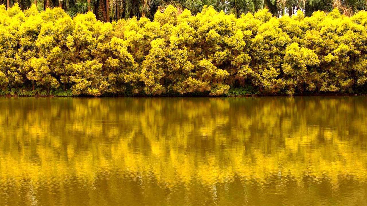 日本前卫建筑巨匠藤本壮介领航，携建筑师叶敏，景观师孙虎，重返原生桃源盛世——广州四海一方