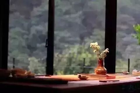 莫负杯中茶，不负心中人