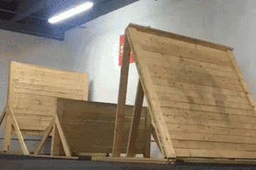 对付校园欺凌，靠总理，也要靠自己