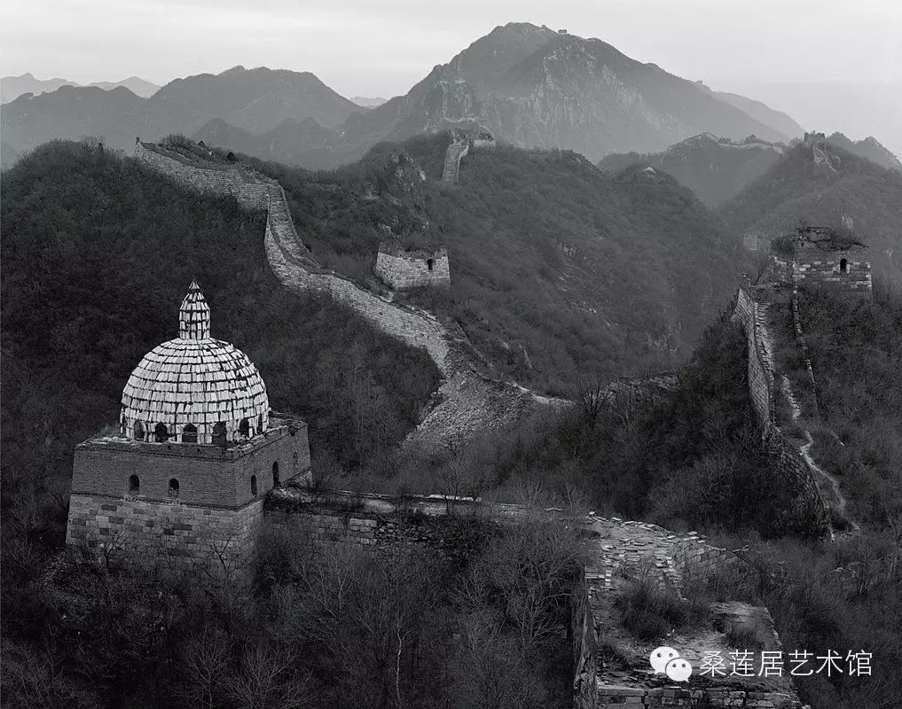 桑莲居｜超越极限，我要用力飞——泉州（籍）名家画（卷三）