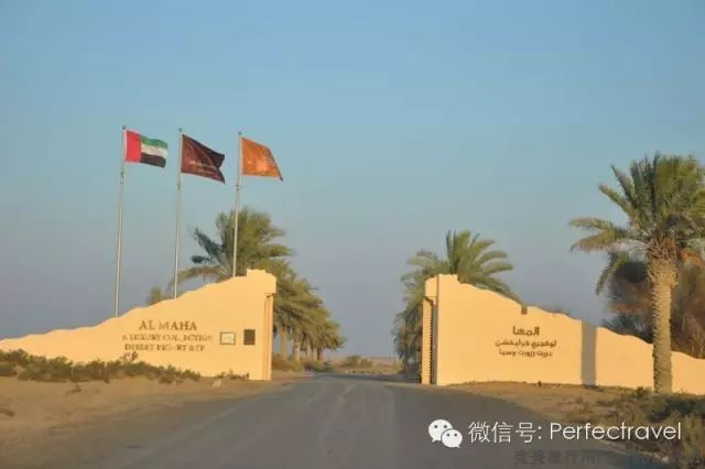 沙漠中的帐篷奢华酒店——AL MAHA - 完美旅行Perfectravel - 完美旅行Perfectravel的博客 沙漠中的帐篷奢华酒店——AL <wbr>MAHA