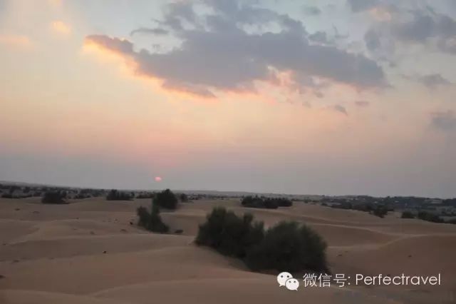 沙漠中的帐篷奢华酒店——AL MAHA - 完美旅行Perfectravel - 完美旅行Perfectravel的博客 沙漠中的帐篷奢华酒店——AL <wbr>MAHA