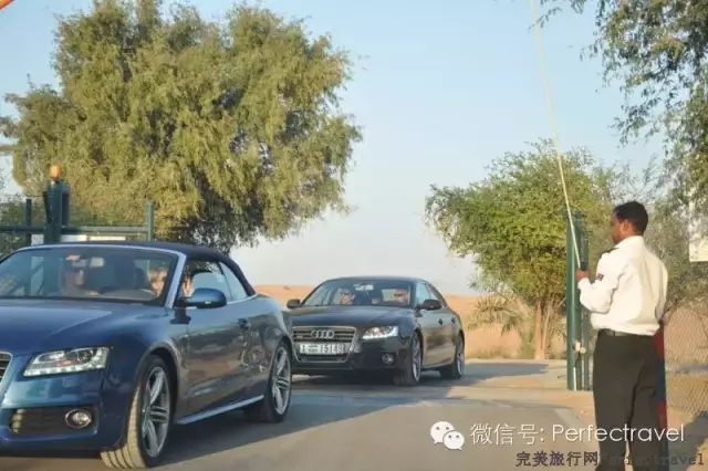 沙漠中的帐篷奢华酒店——AL MAHA - 完美旅行Perfectravel - 完美旅行Perfectravel的博客 沙漠中的帐篷奢华酒店——AL <wbr>MAHA