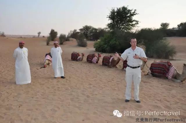 沙漠中的帐篷奢华酒店——AL MAHA - 完美旅行Perfectravel - 完美旅行Perfectravel的博客 沙漠中的帐篷奢华酒店——AL <wbr>MAHA