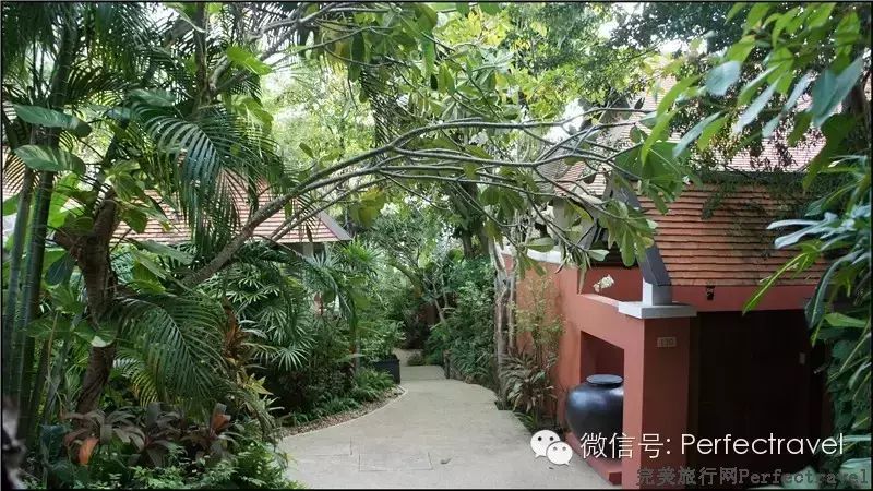 泰国苏梅岛万丽度假酒店(内附苏梅免费旅游秘籍) 泰国苏梅岛万丽度假酒店(内附苏梅免费旅游秘籍)