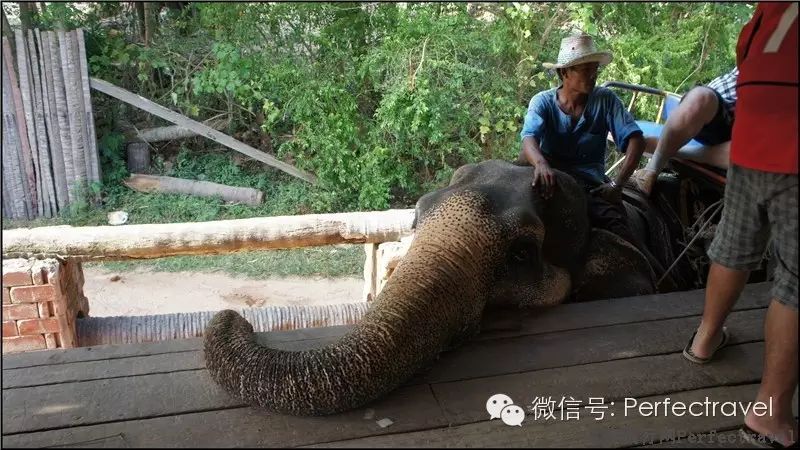 泰国苏梅岛万丽度假酒店(内附苏梅免费旅游秘籍) 泰国苏梅岛万丽度假酒店(内附苏梅免费旅游秘籍)