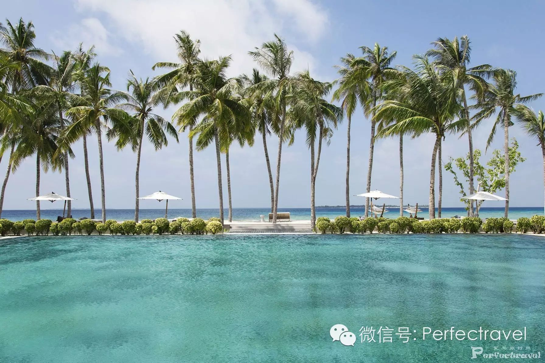 马尔代夫白马庄园:Cheval Blanc——浪漫亲子多晚套餐独家发布 - 完美旅行Perfectravel - 完美旅行Perfectravel的博客 马尔代夫白马庄园:Cheval <wbr>Blanc——浪漫&亲子多晚套餐独家发布