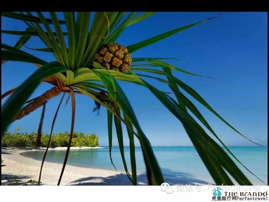 大溪地最顶级的酒店The Brando:春节价格也亲民! - 完美旅行Perfectravel - 完美旅行Perfectravel的博客 大溪地最顶级的酒店The <wbr>Brando:春节价格也亲民!