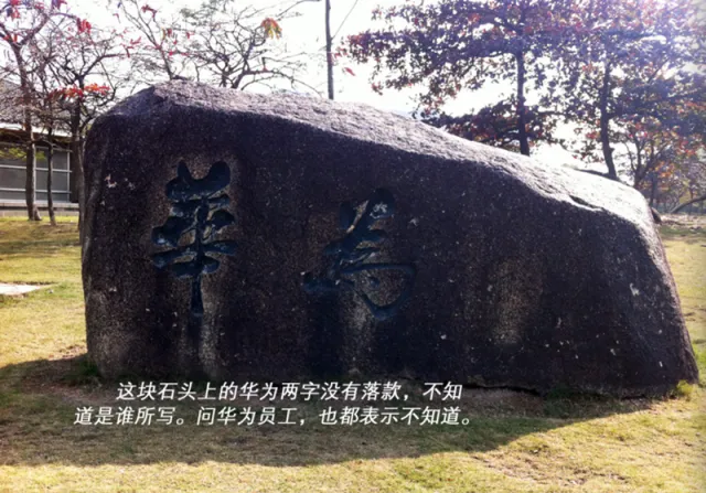 从未来前进到当下，活在最真实的土地上——强力意志