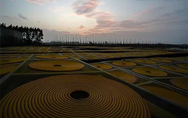 文化积淀而来的新会之美