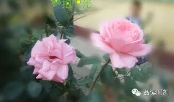 心中有爱,眼里容人773 / 作者:碧澄匀 / 帖子ID:116044 心中有爱,眼里容人773 / 作者:碧澄匀 / 帖子ID:116044