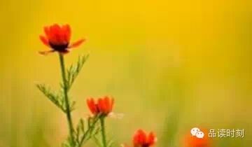 心中有爱,眼里容人383 / 作者:碧澄匀 / 帖子ID:116044 心中有爱,眼里容人383 / 作者:碧澄匀 / 帖子ID:116044