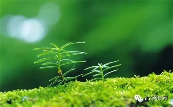转载：简单到极致，便是大智！588 / 作者:桂花糕 / 帖子ID:107627