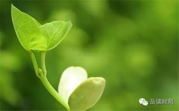 转载：简单到极致，便是大智！890 / 作者:桂花糕 / 帖子ID:107627
