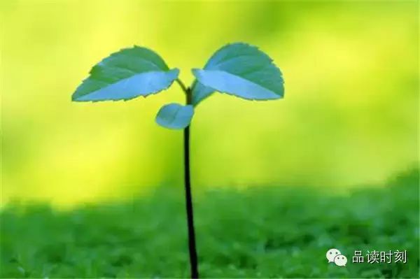 转载：简单到极致，便是大智！72 / 作者:桂花糕 / 帖子ID:107627