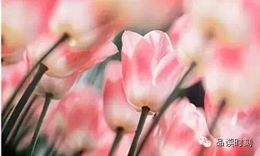很温暖的一段话330 / 作者:桂花糕 / 帖子ID:108919