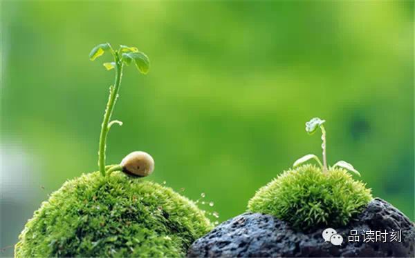 转载：简单到极致，便是大智！944 / 作者:桂花糕 / 帖子ID:107627