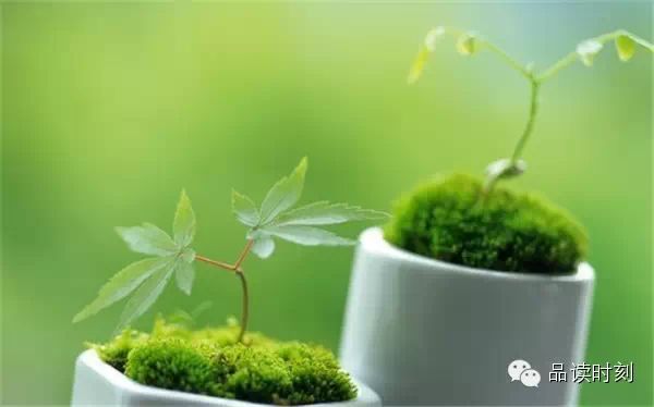 转载：简单到极致，便是大智！115 / 作者:桂花糕 / 帖子ID:107627