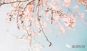 生命，只需要一个甜美的微笑936 / 作者:桂花糕 / 帖子ID:108897