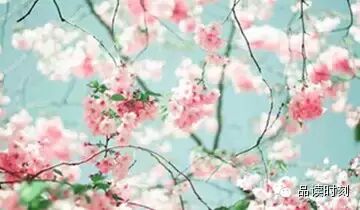 生命，只需要一个甜美的微笑167 / 作者:桂花糕 / 帖子ID:108897