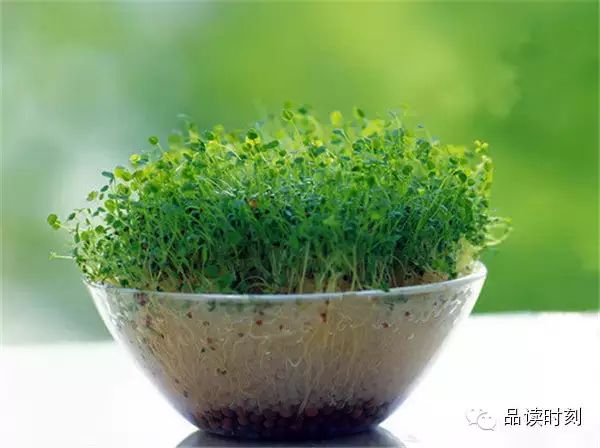 转载：简单到极致，便是大智！762 / 作者:桂花糕 / 帖子ID:107627