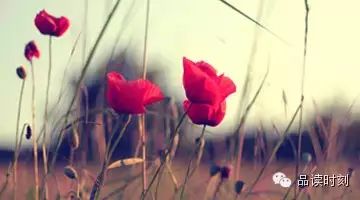 转载：闭上眼睛，清理你的心！166 / 作者:桂花糕 / 帖子ID:107556