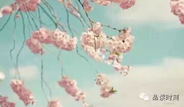 生命，只需要一个甜美的微笑156 / 作者:桂花糕 / 帖子ID:108897