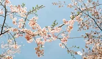 生命，只需要一个甜美的微笑843 / 作者:桂花糕 / 帖子ID:108897