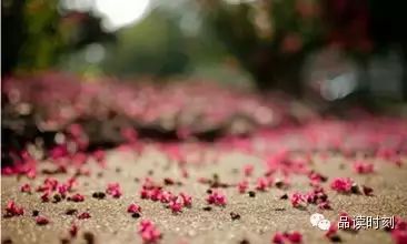 很温暖的一段话300 / 作者:桂花糕 / 帖子ID:108919