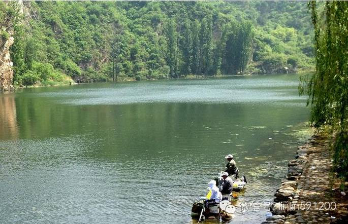 揭秘！水中鱼儿是通过什么来辨别食物的昵？