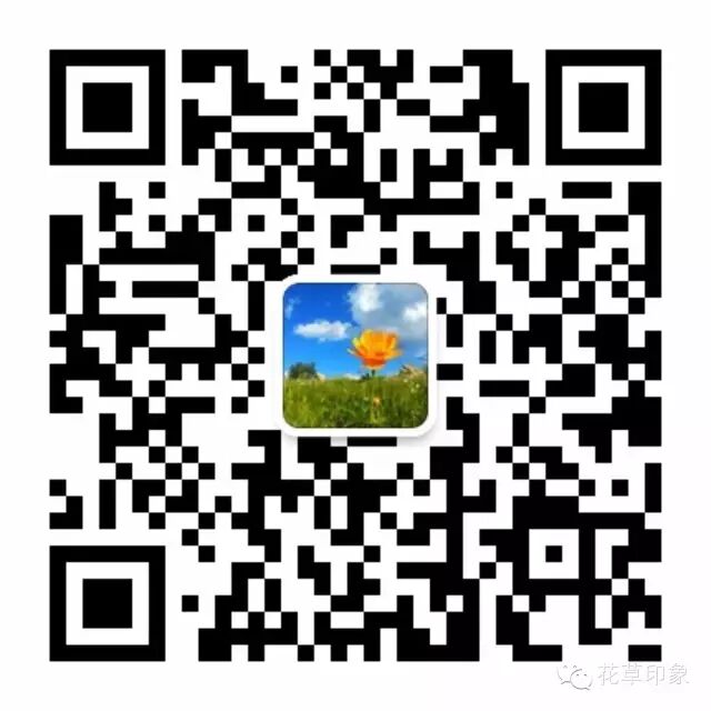 秋天的颜色，不用再担心孩子问这是什么叶子了