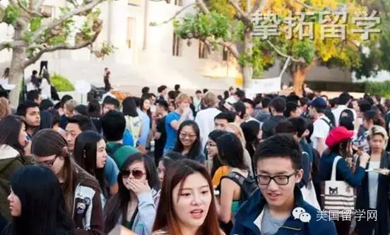 【美国留学】你知道加州大学到底有多少中国学生吗？